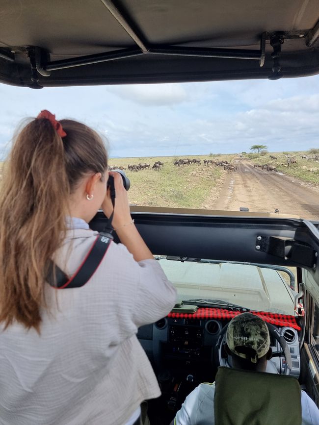 Tansania - Tag 5: Serengeti Nationalpark