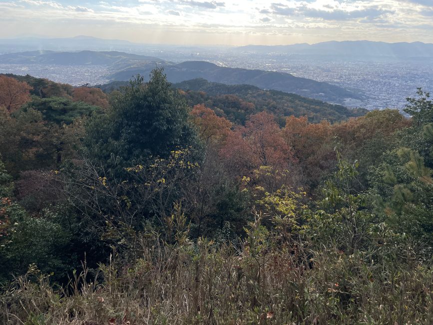Weitblick vom Gipfel bis zum Meer