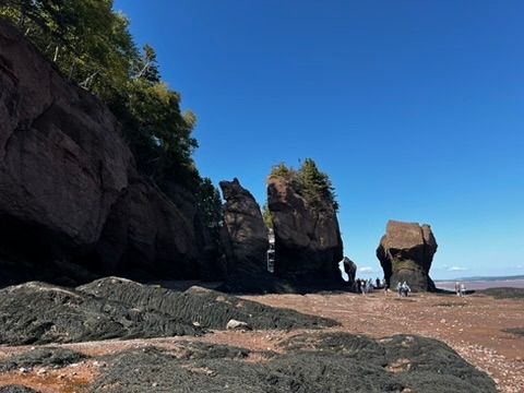 Un paseo por el lecho marino de uno de los lugares de marea más extremos del mundo