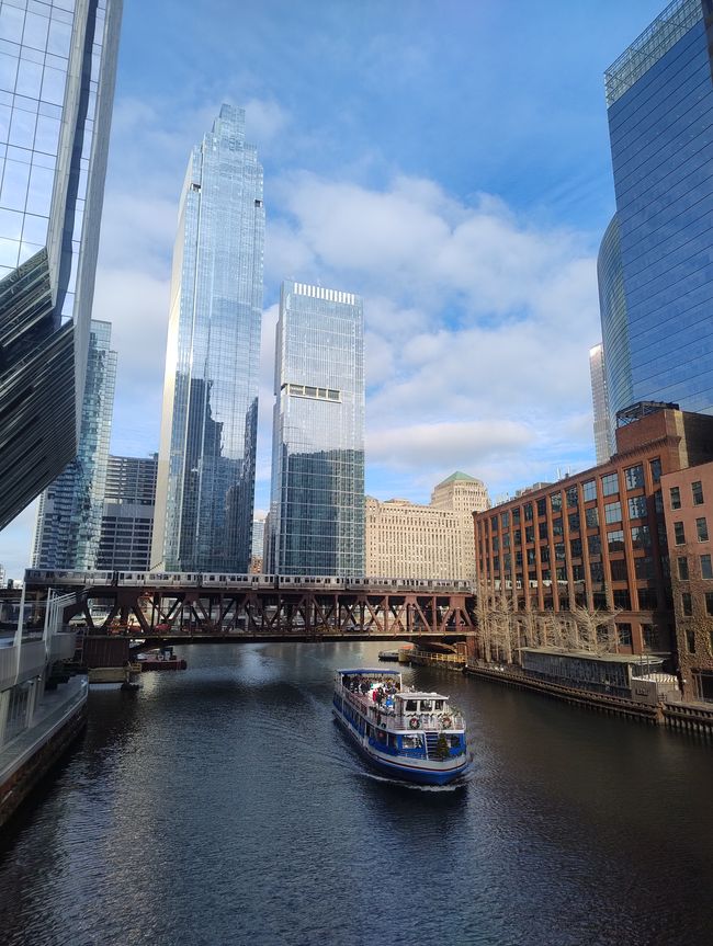 Chicago 5