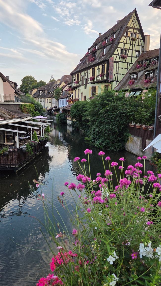 Colmar die Weinhauptstadt im
Elsass