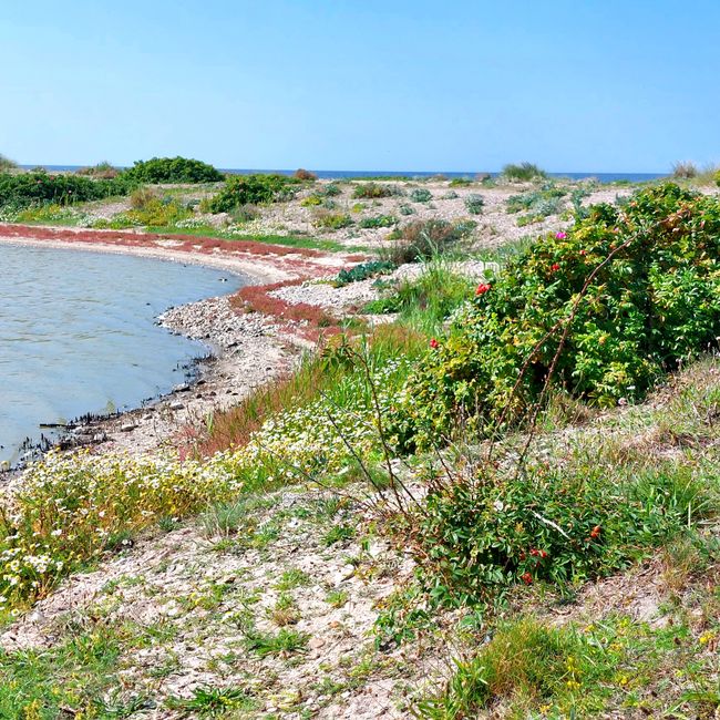 Fehmarn