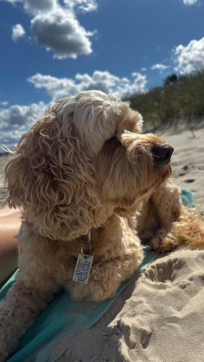 Karlshagen - immer mehr, immer mehr, immer mehr…