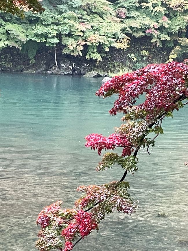 11.Kapitel: Arashiyama im Dauerregen und die Geschichte vom Yamatoya