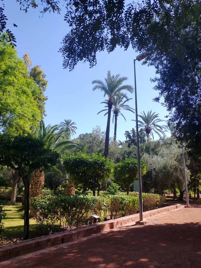 Marrakech (1)