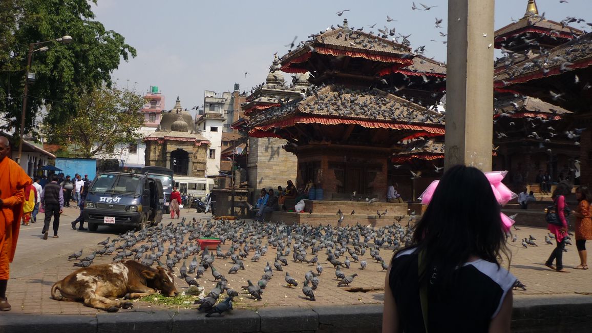 Hello Nepal