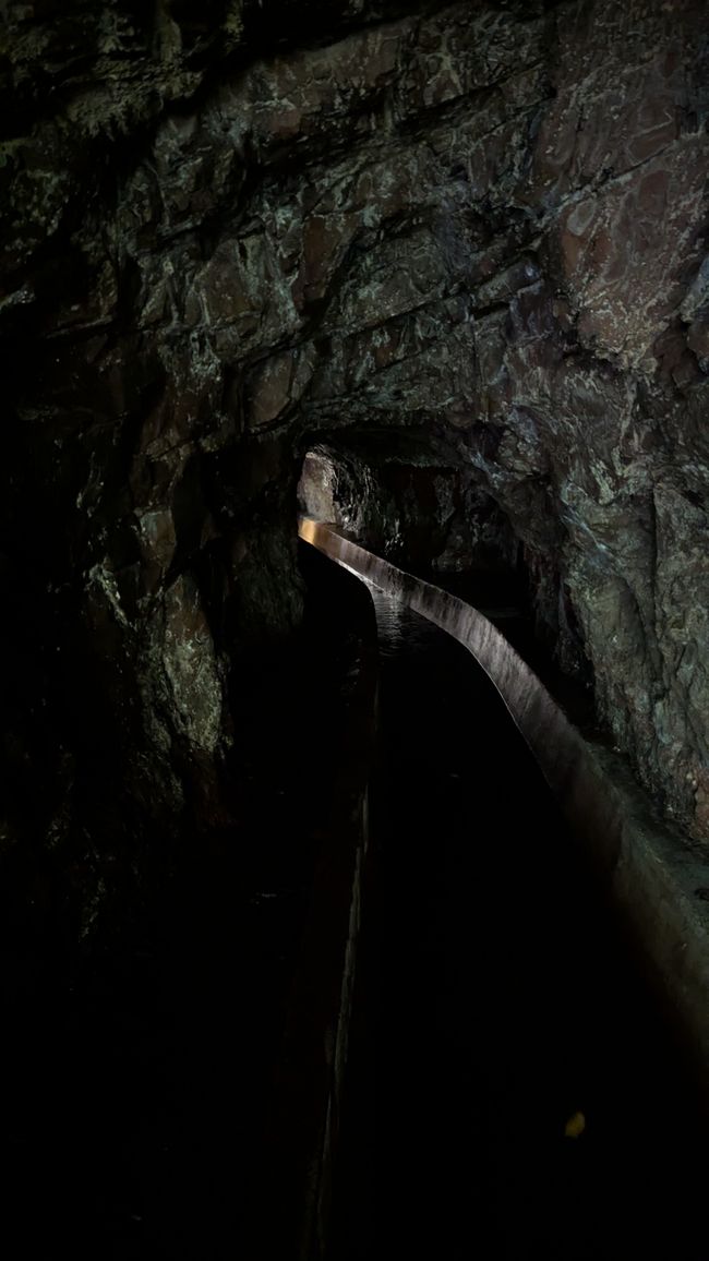 Tag 13: Levada da Ribeira da Janela & Nordwestküste