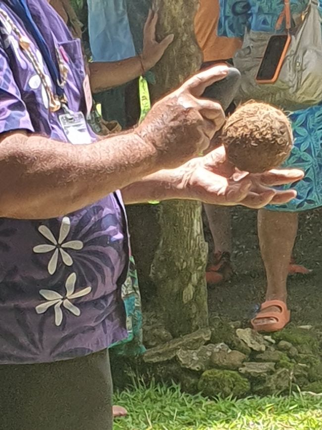 47. Tag Apia, Samoa 10.01.2026