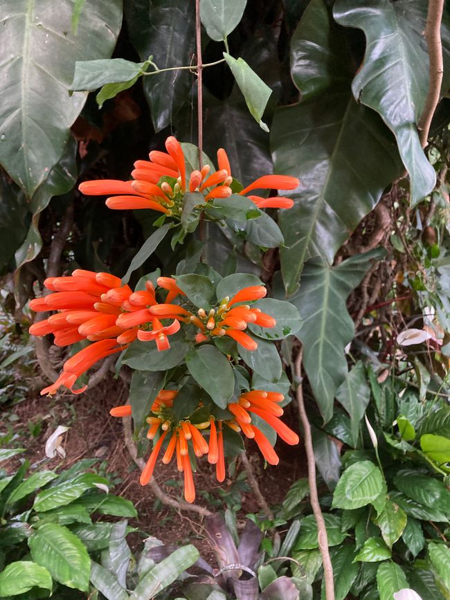 Viel Aufregendes und Schönes erlebt