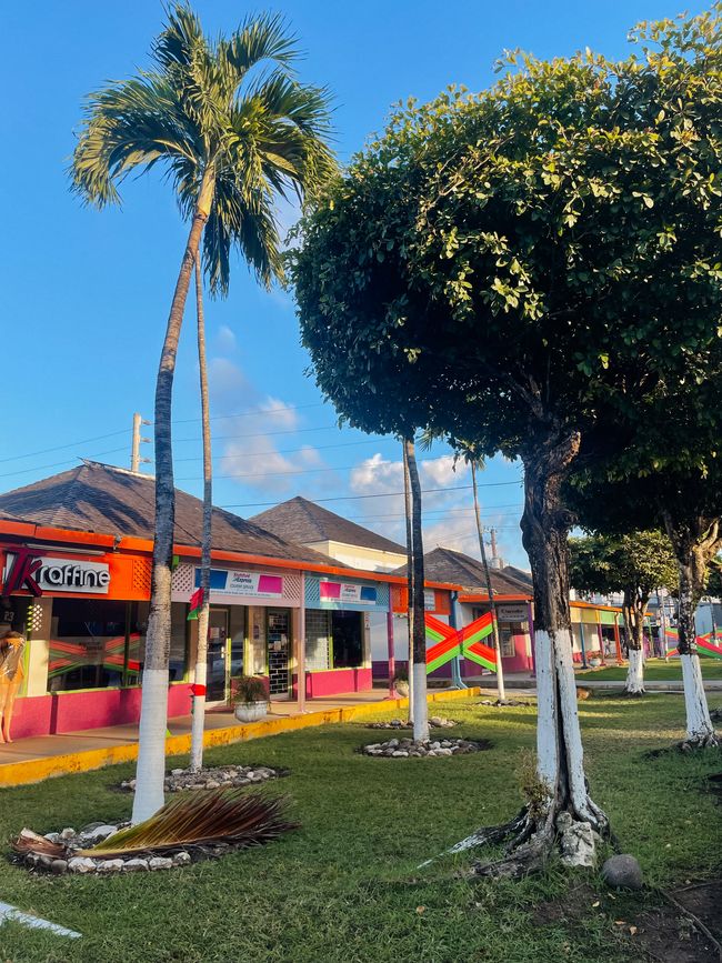 Maravilla azul de Jamaica en Ocho Rios 🩵