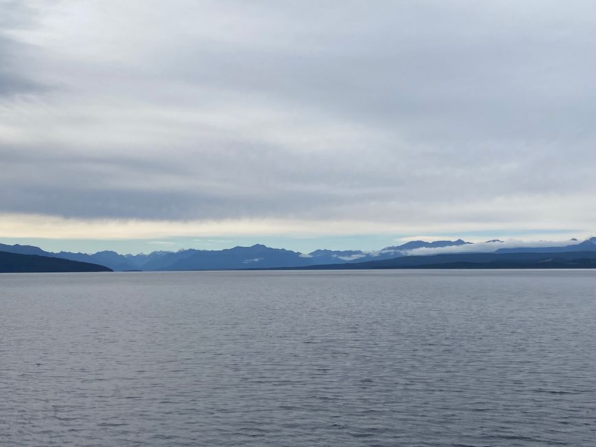 Among the glowing glowworms