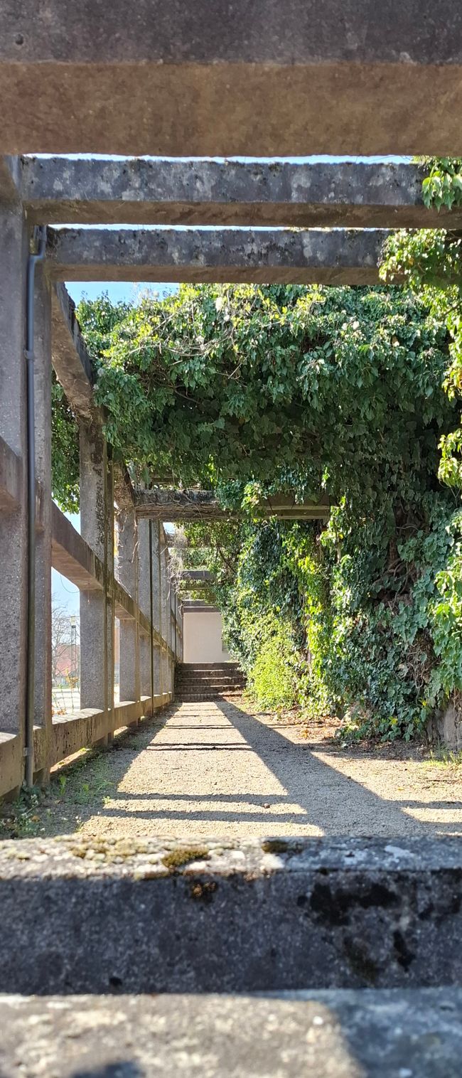 Wandern in Darmstadt 