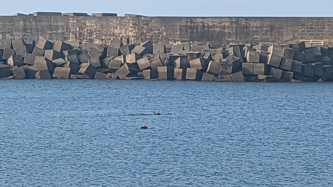 Sechste Etappe Camino Portugues da Costa von A Guarda nach Viladeduso