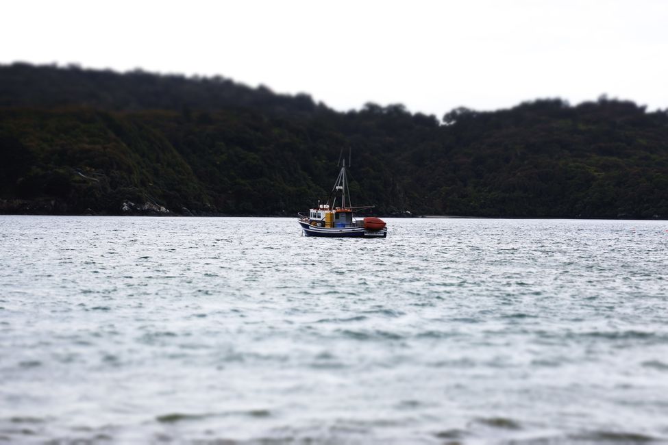 Stewart Island
