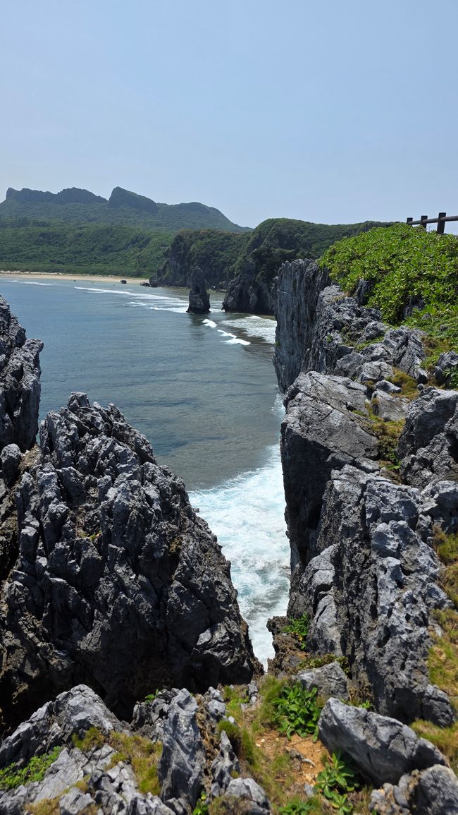 Okinawa Nuchi du takara (La vita è ciò che ci sta a cuore)