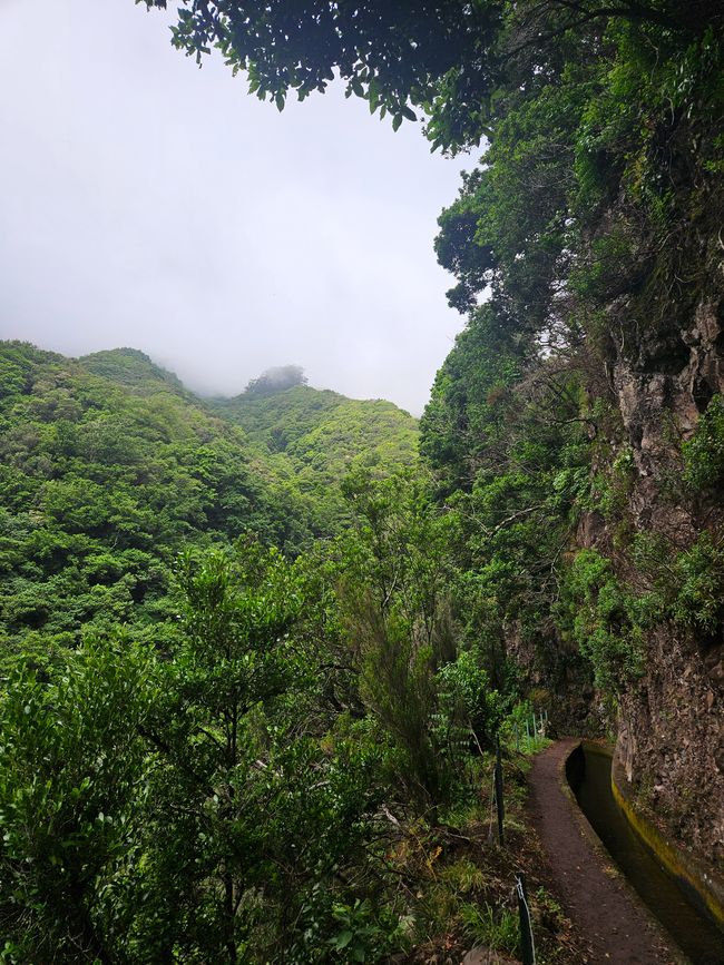 Tag 13: Levada da Ribeira da Janela & Nordwestküste