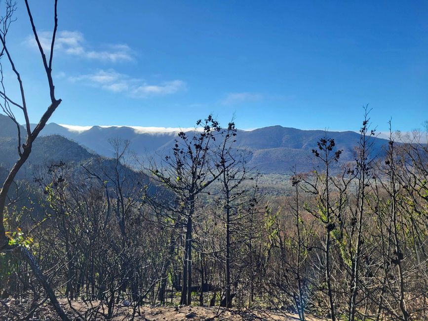 Ausläufer der Grampians
