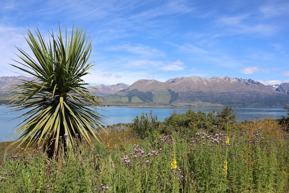 Auf nach Paradise zu "Herr der Ringe"