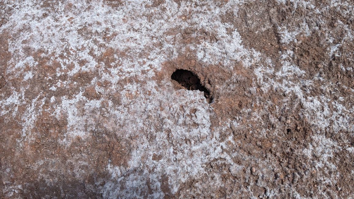 Valle de la Luna und Laguna Baltinache