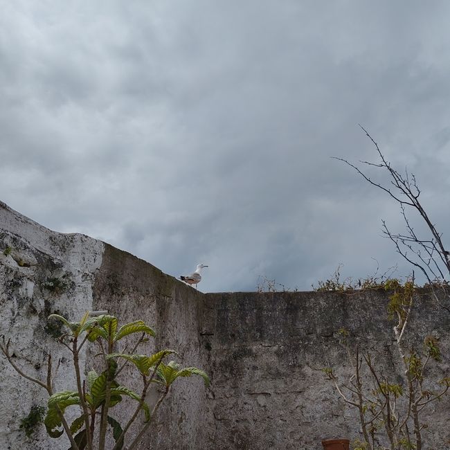 Nazaré