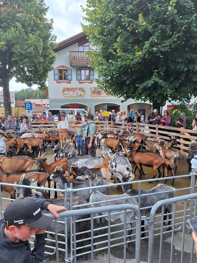 Un samedi de septembre à Mittenwald