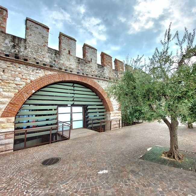 Lazise