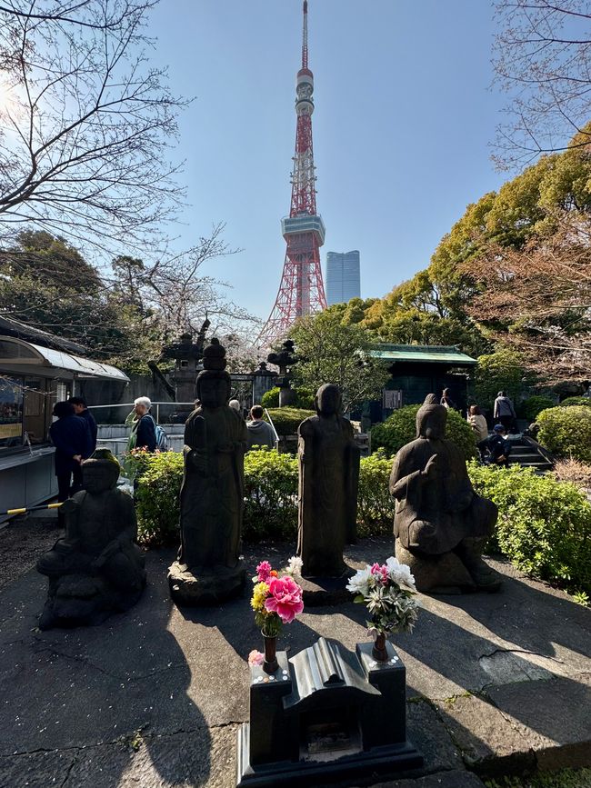 Parte 7
BENVENUTO IN GIAPPONE 🇯🇵
TOKYO