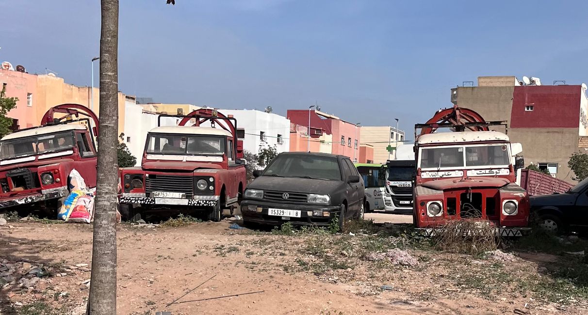 Ein trauriges Bild für Landy Fans - alte Landrover verrrotten am Straßenrand