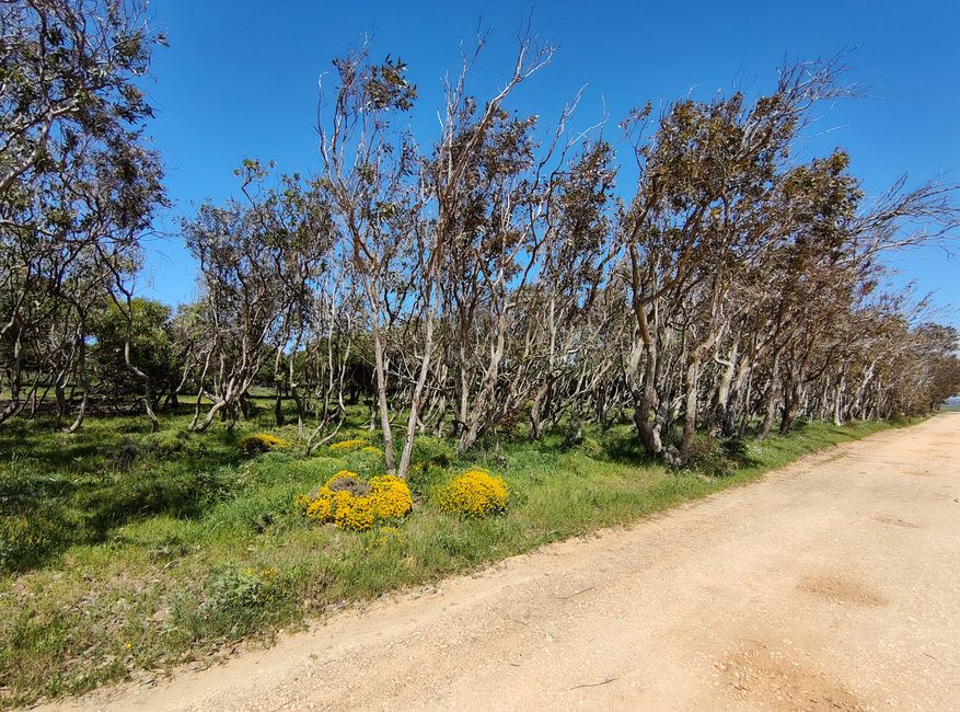 Sagres -> Vila do Bispo