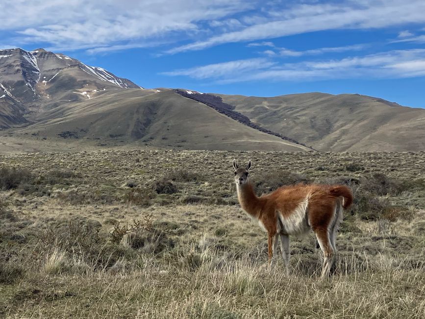 Patagonia - Torres del Paine, Chile