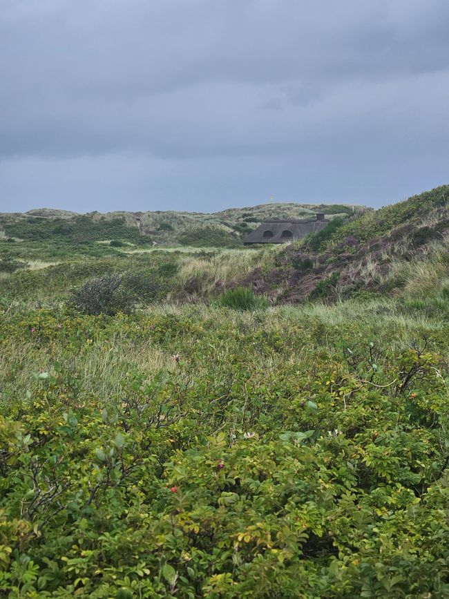 Blåvand ● Vista desde delante del faro 