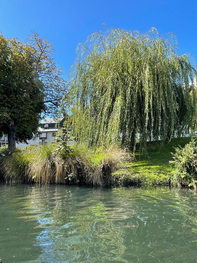 62.Etiqueta 8.3.25 Christchurch, Isla Sur, Nueva Zelanda