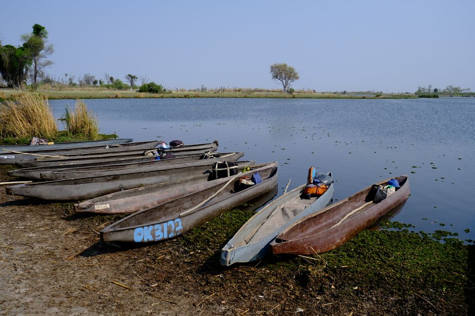 Okavango Delta 🇧🇼