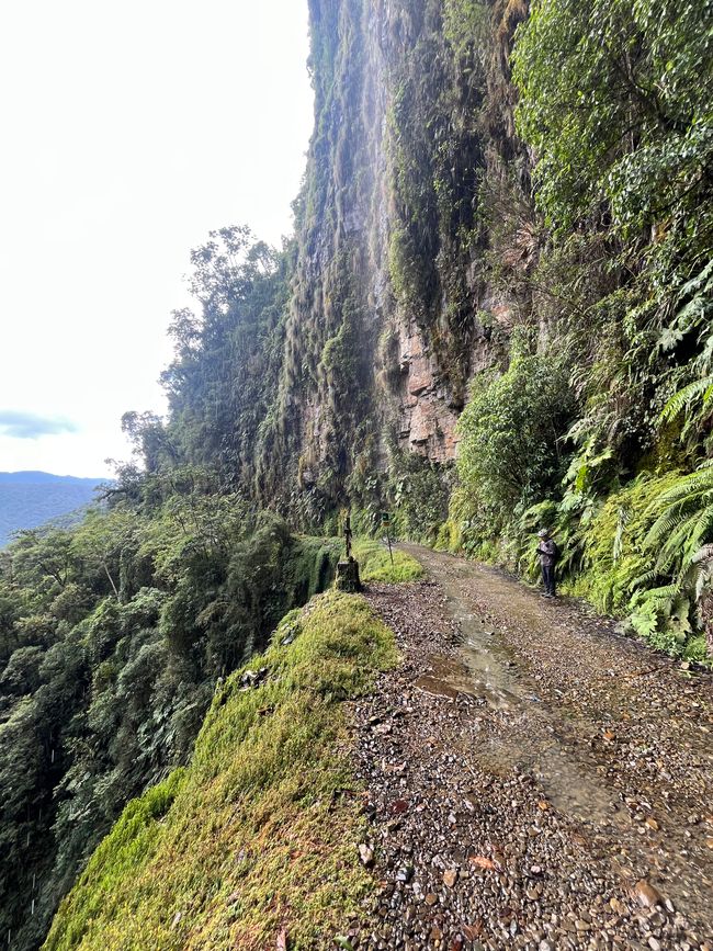 Camino de la muerte 