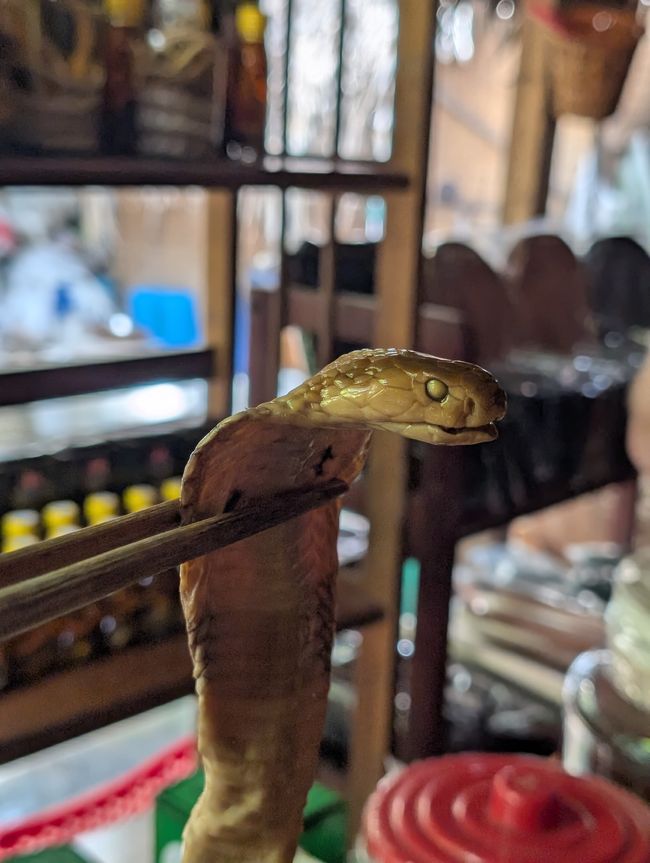 Mekong-Delta-Fragmente