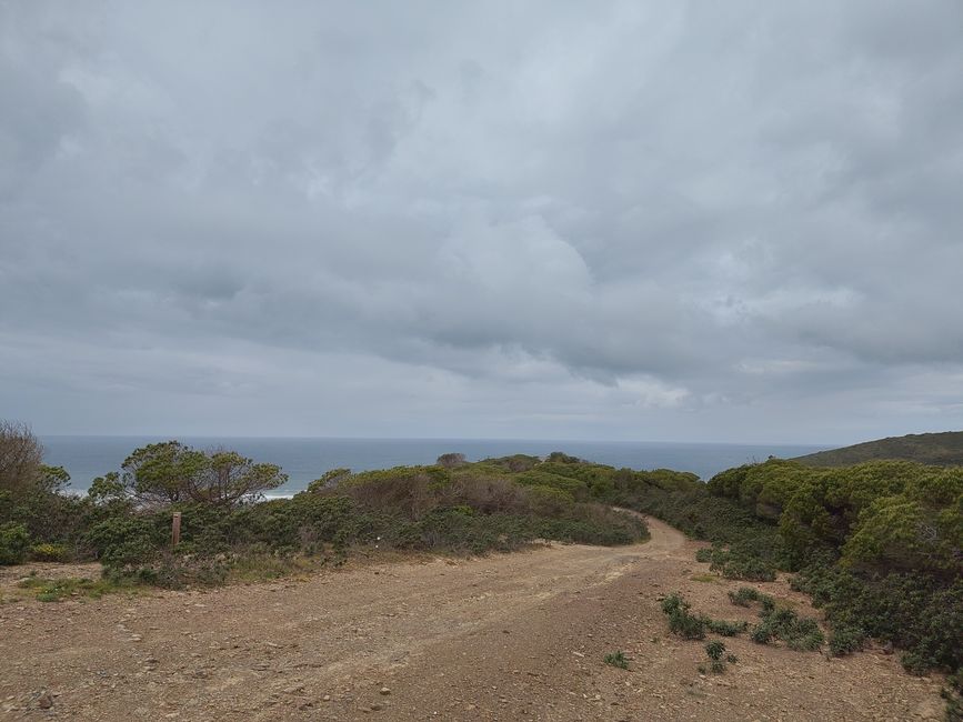 Vila do Bispo -> Carrapateira