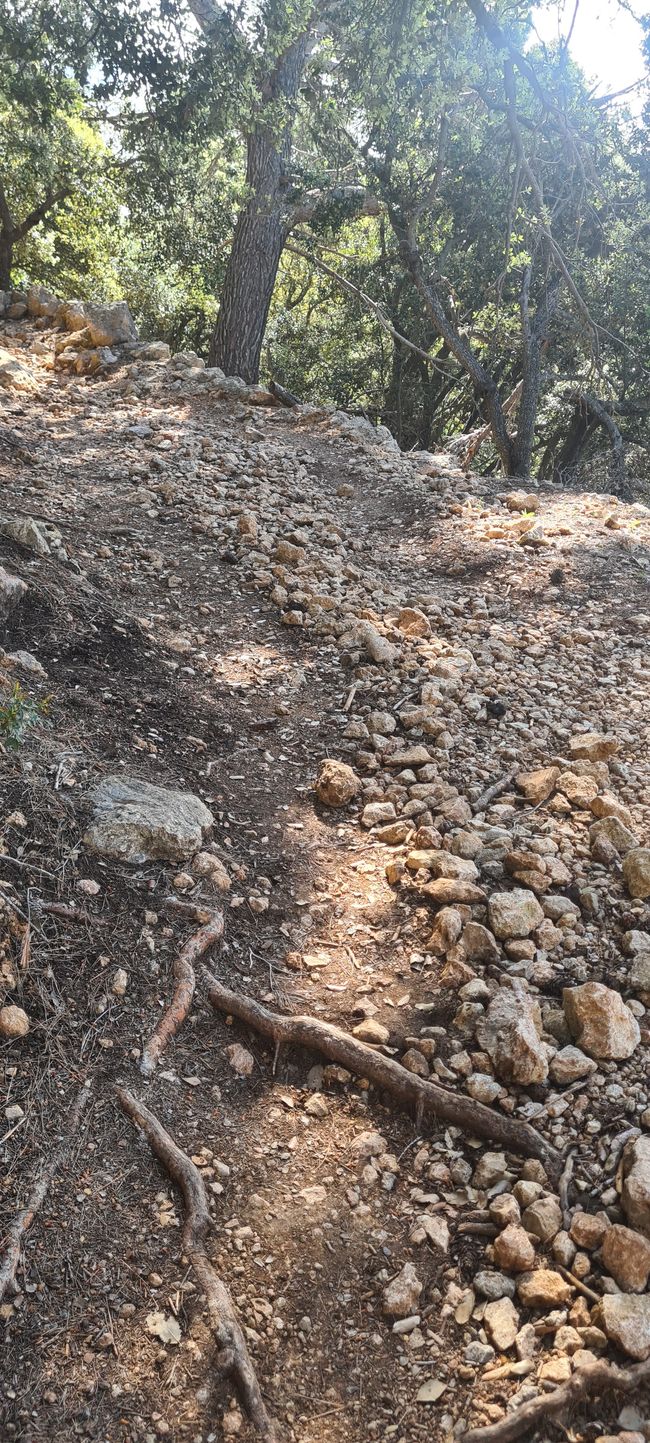 Der kernige Anstieg von Valldemosa nach Deja