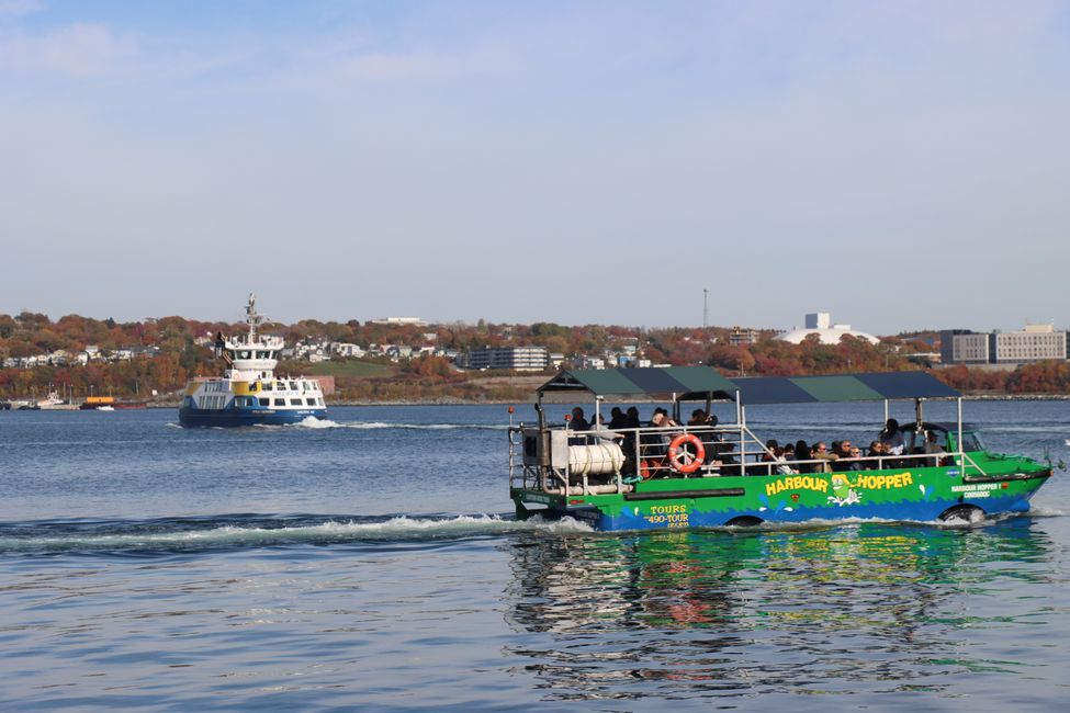 In the amphibious vehicle