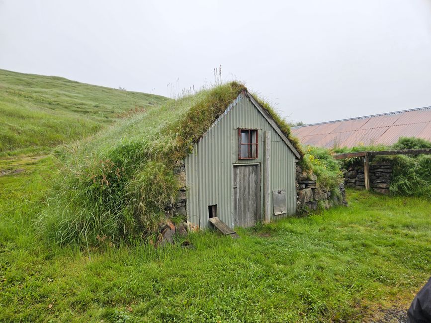 Grasdachhäusern 