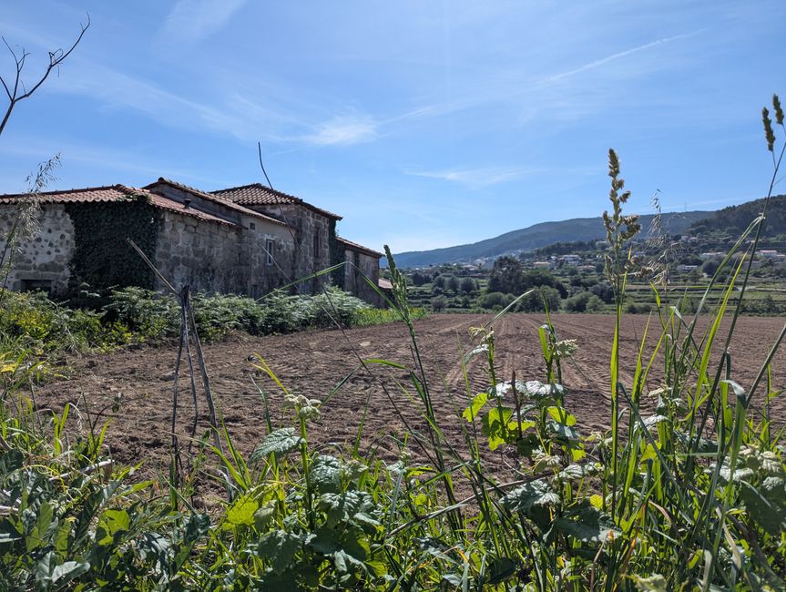 Dall'equilibrio delle forze (Camino Portugues 3)