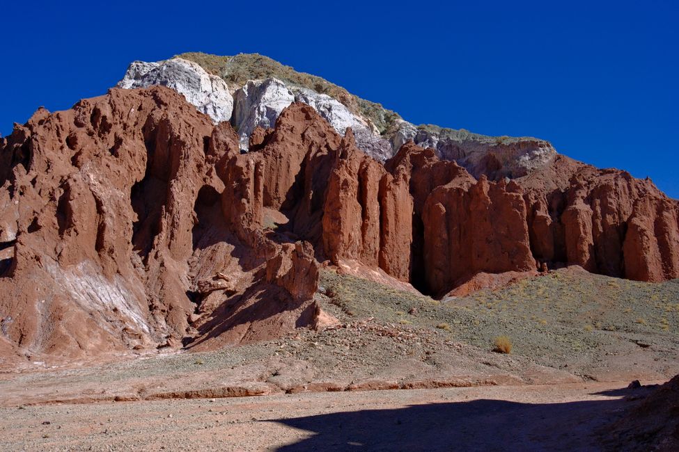 Désert d'Atacama 🦙🦩🌵