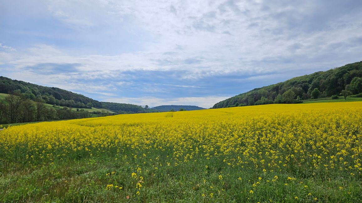 Im Enztal hinter Neuerburg