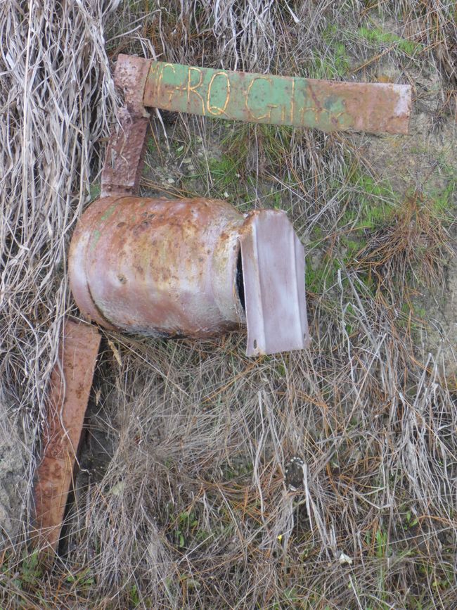 2025-04-15 Dargaville