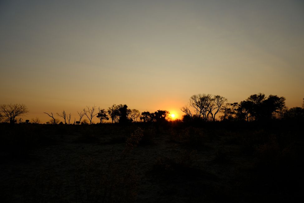 Delta del Okavango 🇧🇼