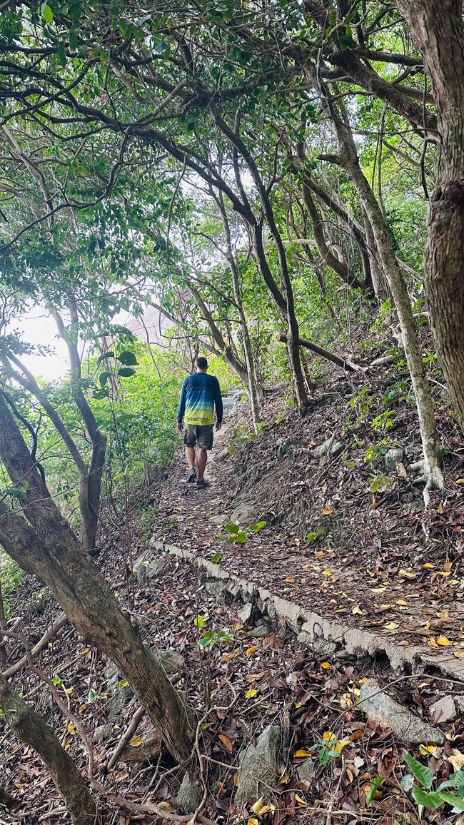 Rundweg Koh Tao