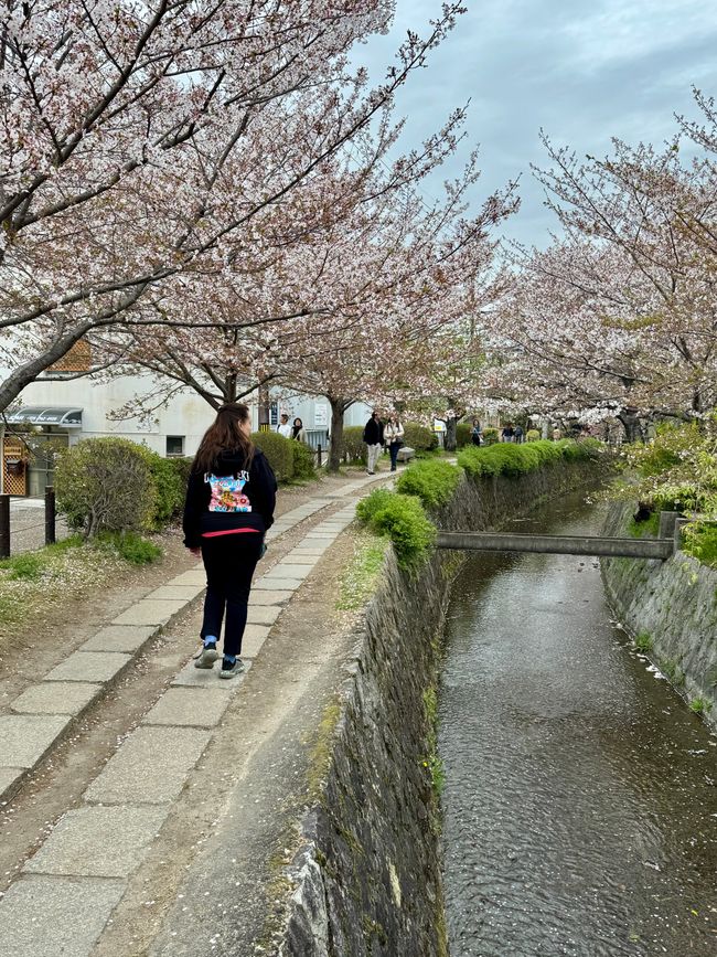 Part 8 Japan 🇯🇵 Kanazawa