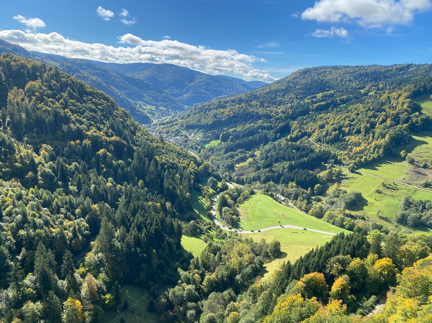 - bis nach Todtnau hinunter