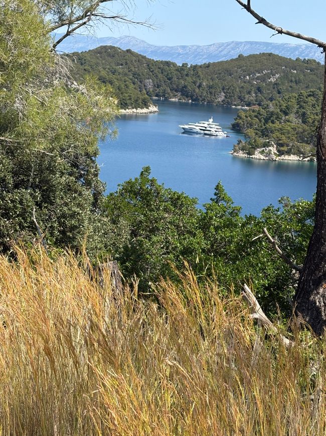 Radfahren auf Mljet