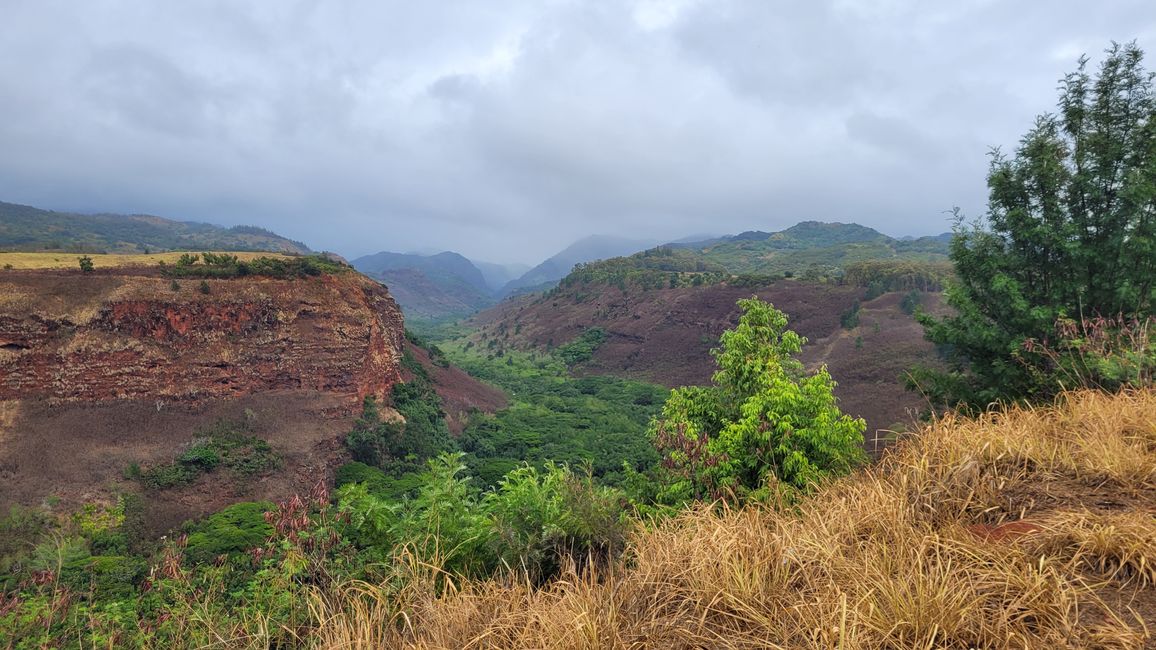 erster Blick in den Waimea-Canyon 