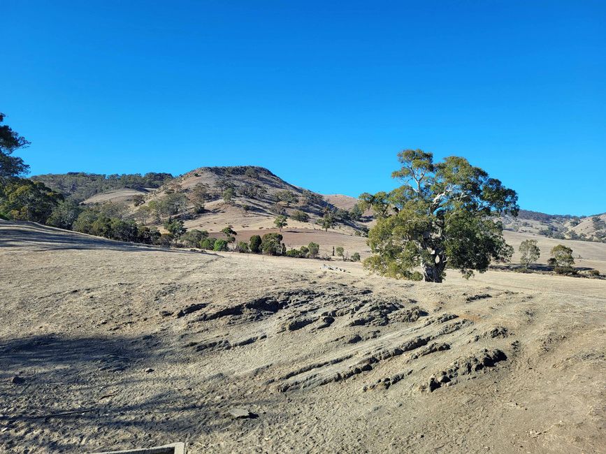 Tanunda, Barossa Valley